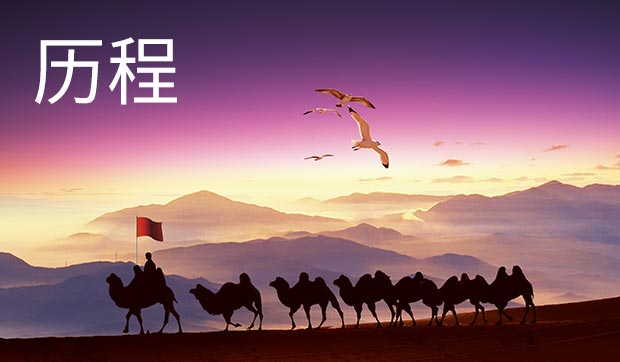 回顾发展